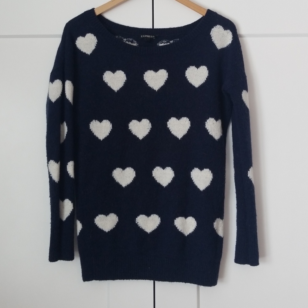 Express longsleeve knit sweater